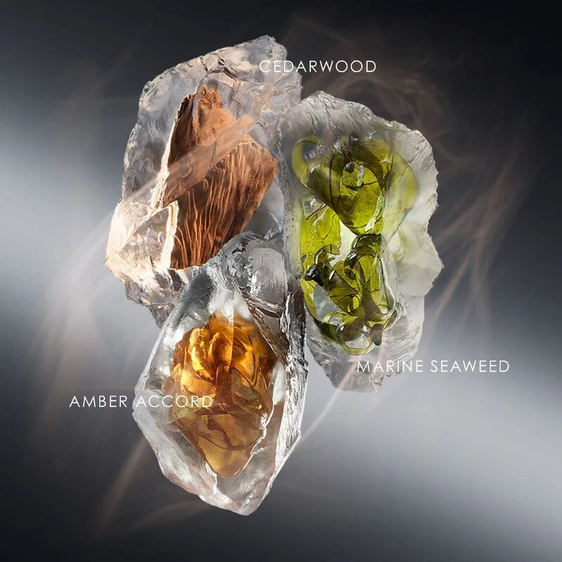 issey miyake le sel d’issey eau de parfum 100ml for men issey miyake le sel d’issey eau de parfum 100ml for men