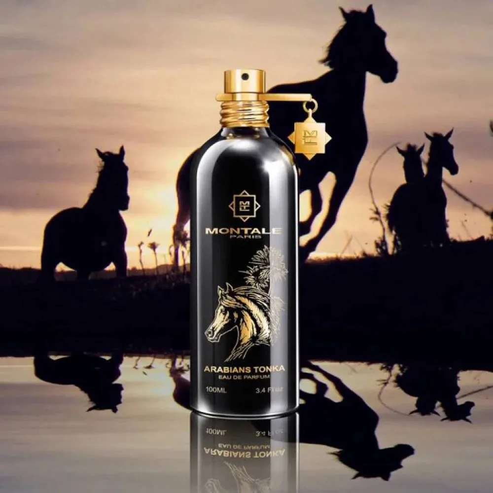 Montale Arabians Tonka 100ml – The Spirit of the Desert