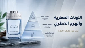 النوتات العطرية والهرم العطري من الافتتاحية إلى القاعدة